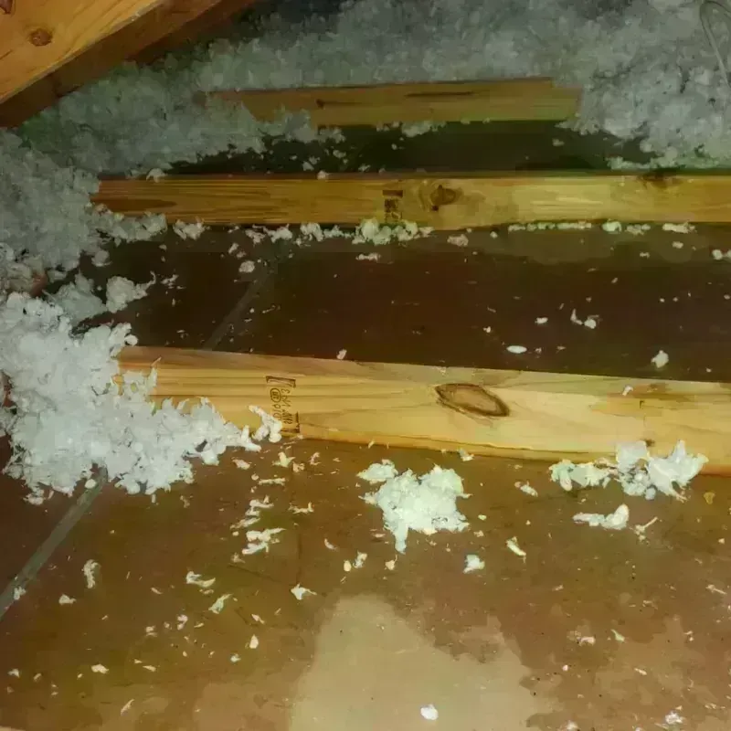 Attic Water Damage in Medina, WA