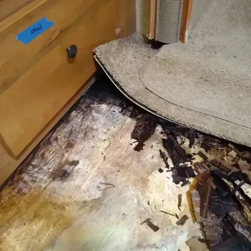 Wood Floor Water Damage in Medina, WA